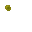 swamp