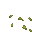 swamp