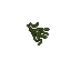 swamp lichen