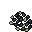 barnacles