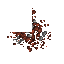 debris