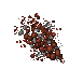 debris