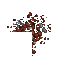 debris