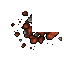 debris
