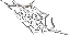 spider web