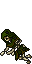 dead poacher