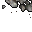 debris