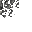 debris