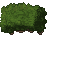 hedge