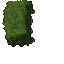 hedge