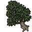 slumbering tree