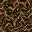 branches