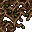 branches