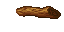 tree branch
