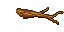 tree branch