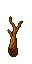 tree branch