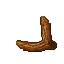 tree branch
