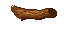 tree branch