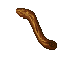 tree branch
