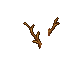 twig