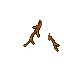 twig