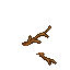 twig