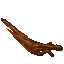root