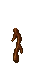 root