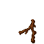 root