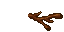 root