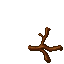 root