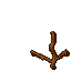 root