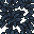 teal leaves