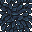 teal leaves