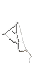 spider web