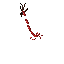 blood trickle