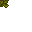forest floor