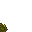 forest floor