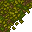 forest floor