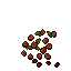 wild roses