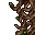 branches