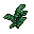 ferns