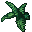 ferns