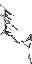 remains of a spider web