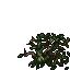 dead leaf golem
