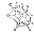 spider web