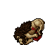 dead noble lion