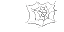 spider web