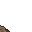 gray sand
