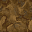 wasteland